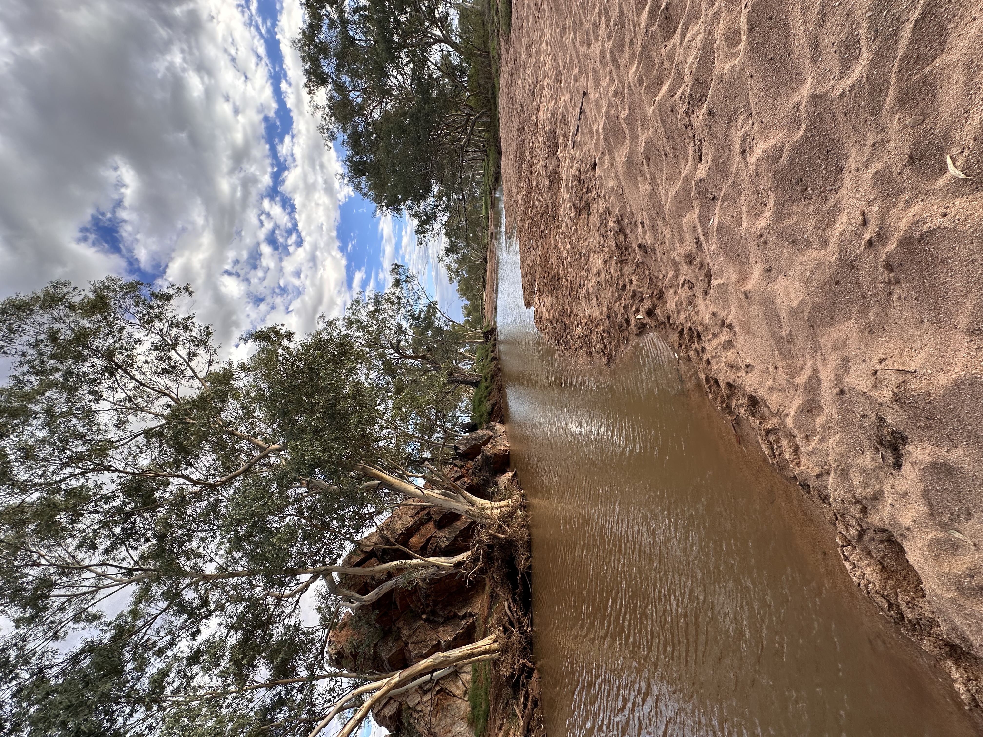 Reflective practice — connection to country